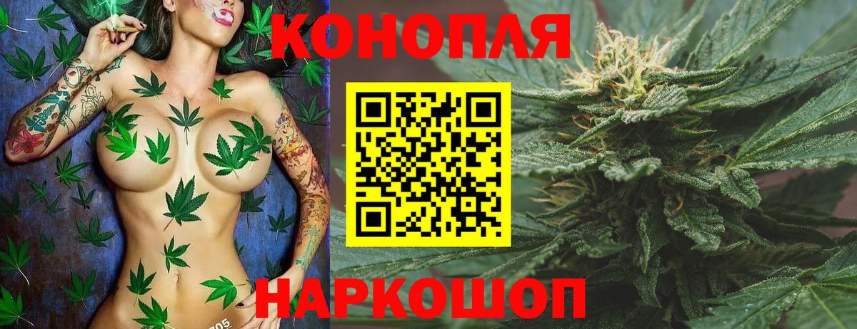 Бошки Шишки тримм  МАРИХУАНА гибрид  Вход с VPN  Курган  МАРИХУАНА конопля 